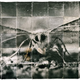 Illustration for article titled Drawn to CAH, like a moth to the flame